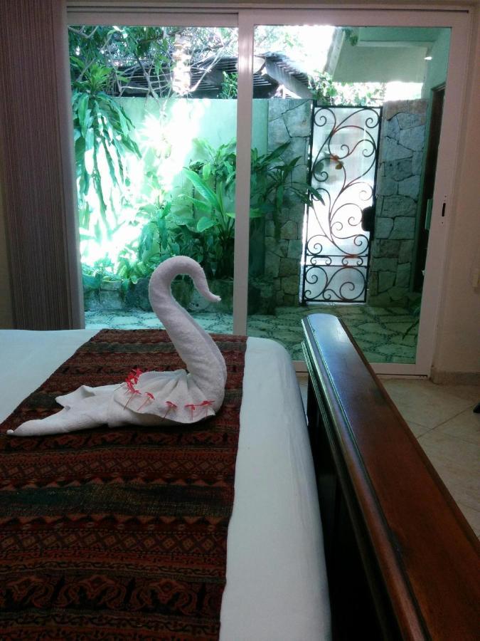 Casa Beard, Spacious Guest House With High Speed Wifi & Pool. Playa del Carmen Eksteriør billede