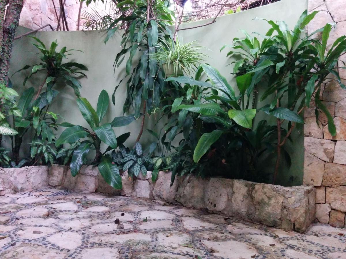 Casa Beard, Spacious Guest House With High Speed Wifi & Pool. Playa del Carmen Eksteriør billede