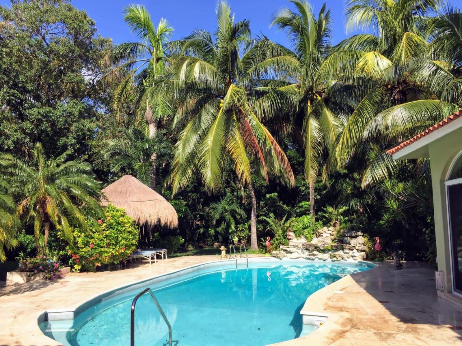 Casa Beard, Spacious Guest House With High Speed Wifi & Pool. Playa del Carmen Eksteriør billede